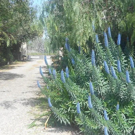 Tenuta Martinelli Séjour à la campagne