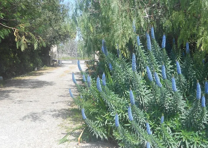 Tenuta Martinelli Séjour à la campagne